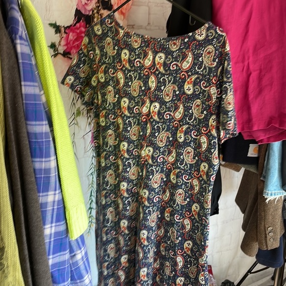 Appleseed's Dresses 6 Appleseeds Womans Pl Blue Paisley Dress